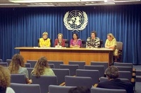 联合国消除对妇女歧视委员会 联合国消除对妇女歧视委员会