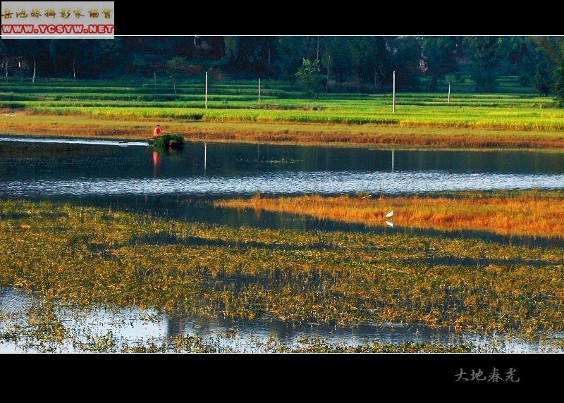 岳池平原田园风光 岳池平原田园风光
