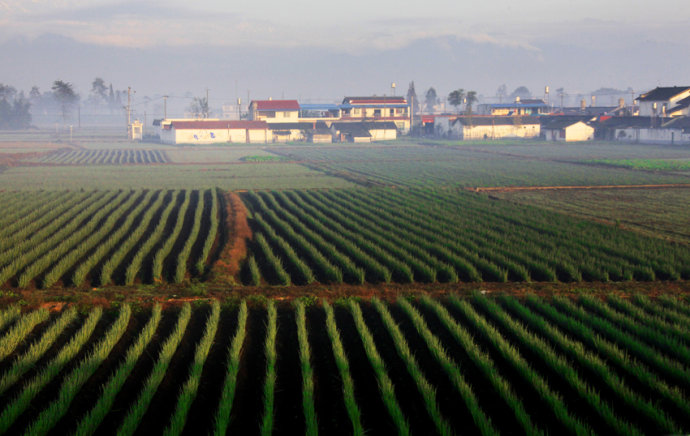 成都平原(农村) 成都平原(农村)