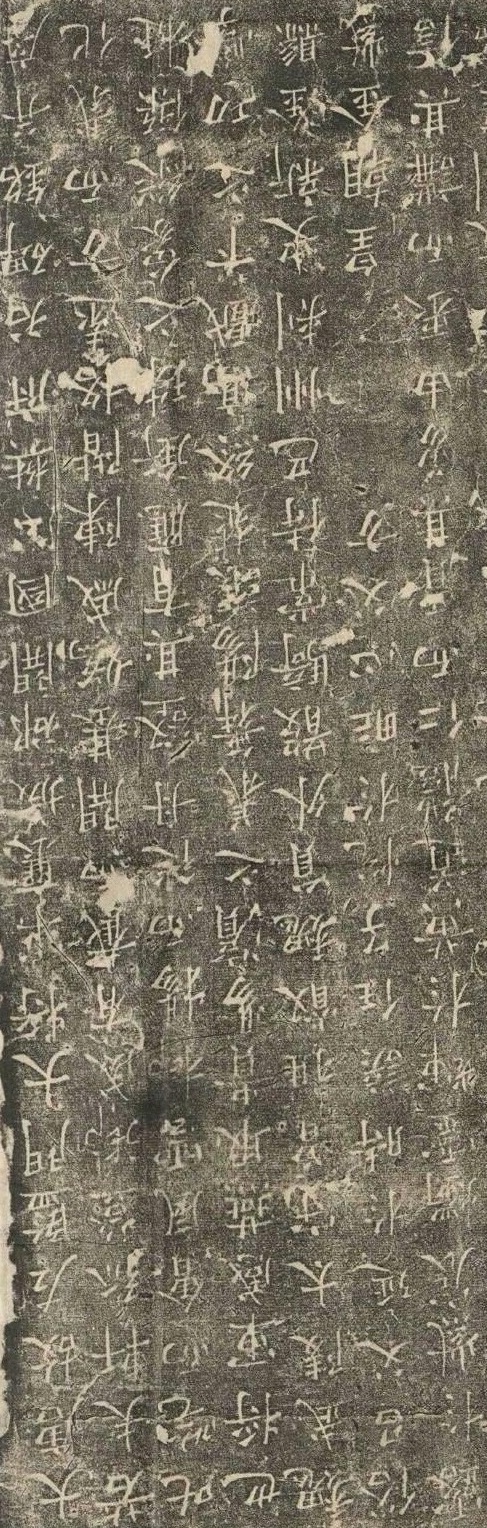 樊兴 樊兴