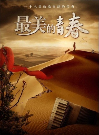刘智扬