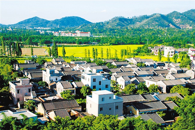 南门村(福建省漳州台商投资区角美镇下辖村) 南门村(福建省漳州台商投资区角美镇下辖村)