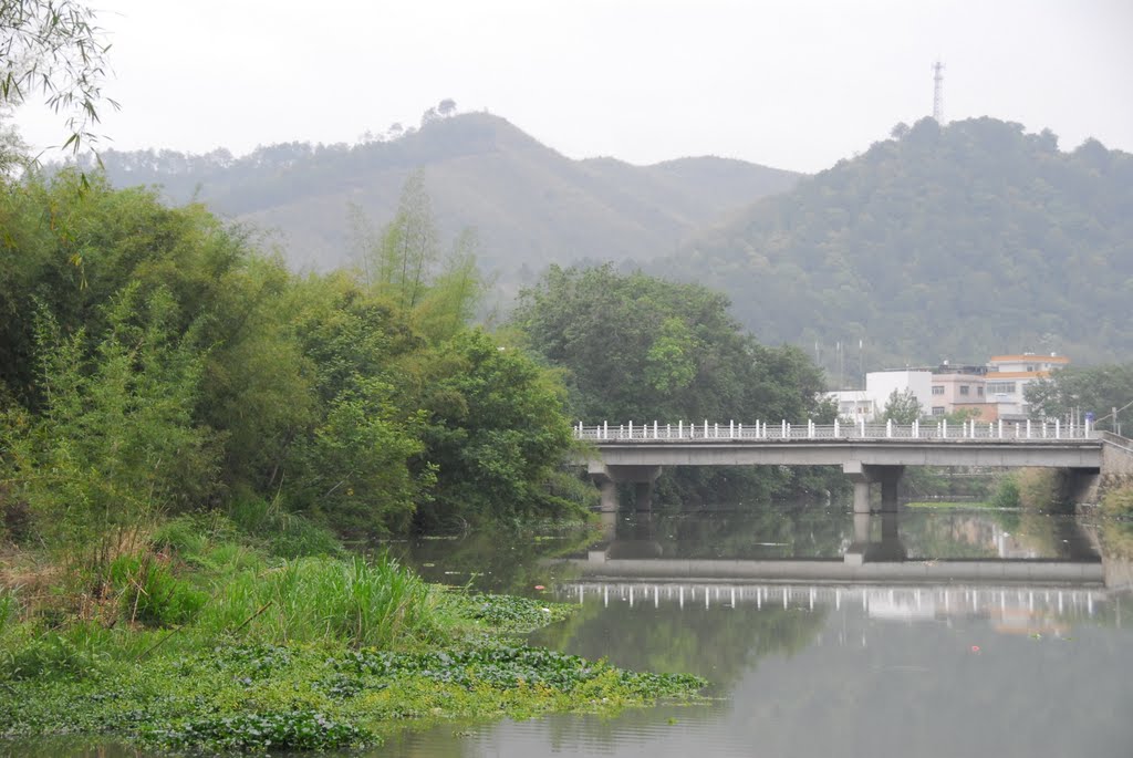 岗子上村(云南保山市板桥镇下辖村) 岗子上村(云南保山市板桥镇下辖村)