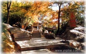 漳里村 漳里村