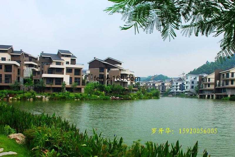深业万林湖 深业万林湖