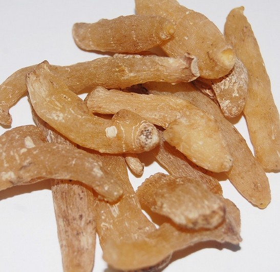 邵东玉竹 邵东玉竹