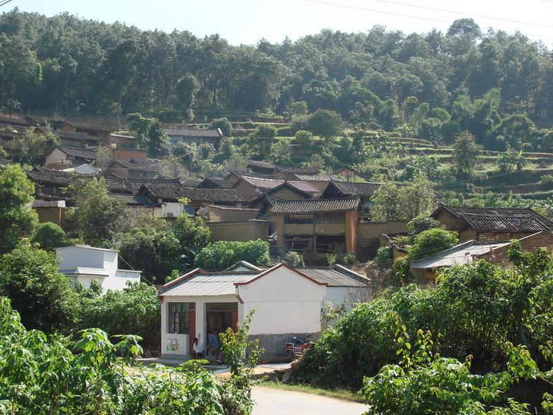 桐子坝村 桐子坝村