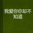 我爱你你却不知道