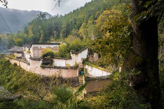 杨山村(山西省晋城市泽州县下村镇下辖村) 杨山村(山西省晋城市泽州县下村镇下辖村)