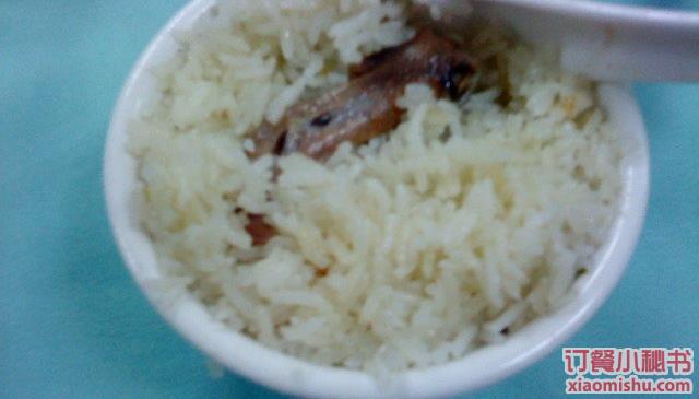 鸽子饭