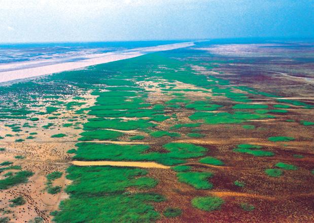 黄河口生态湿地 黄河口生态湿地