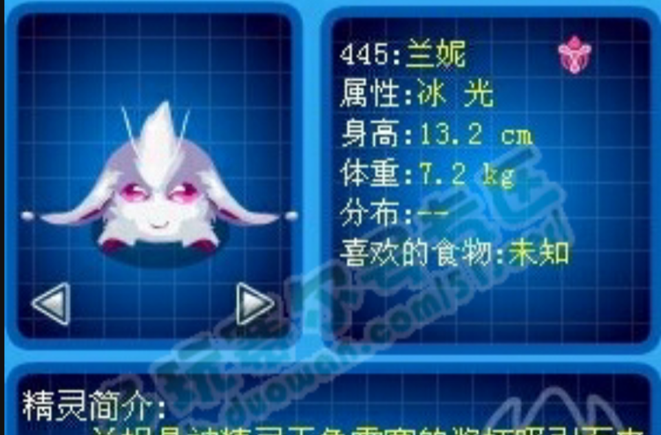 兰妮 兰妮