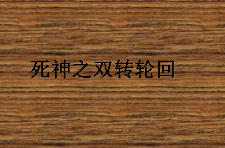 死神之双转轮迴 死神之双转轮迴