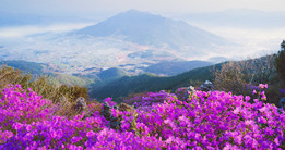 固城碧芳山的春天 固城碧芳山的春天