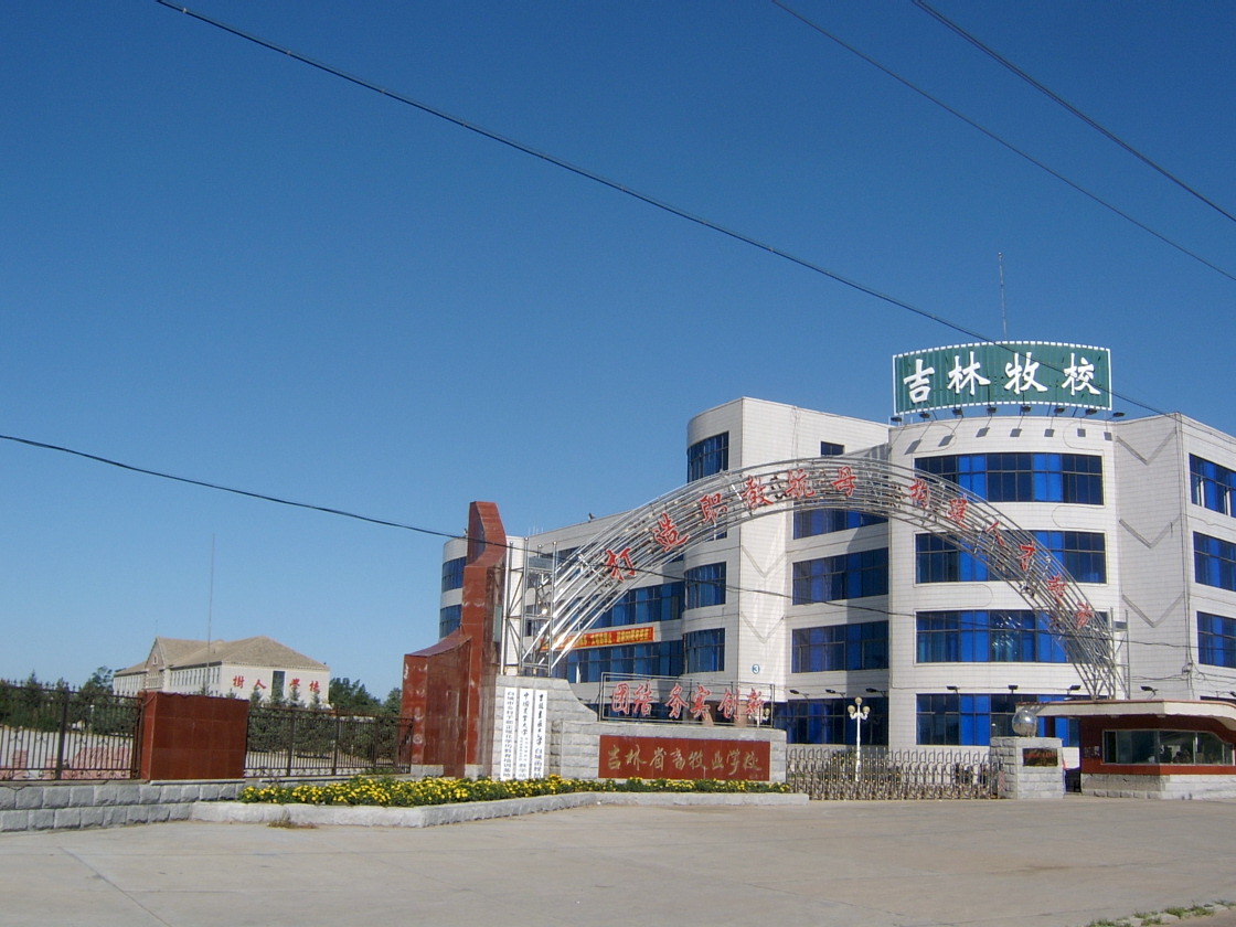中等职业教育国家助学金 中等职业教育国家助学金