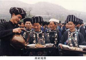 巴蜀文化(四川、重庆的地域文化) 巴蜀文化(四川、重庆的地域文化)