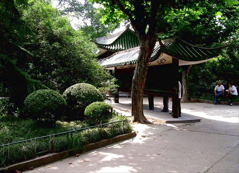 曹阳公园 曹阳公园