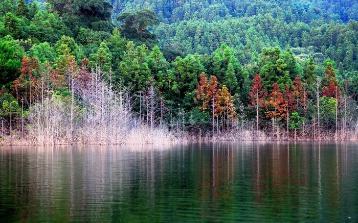 资溪九龙湖景区 资溪九龙湖景区