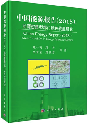 能源报告2018 能源报告2018