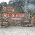 水墨汀溪风景区 水墨汀溪风景区