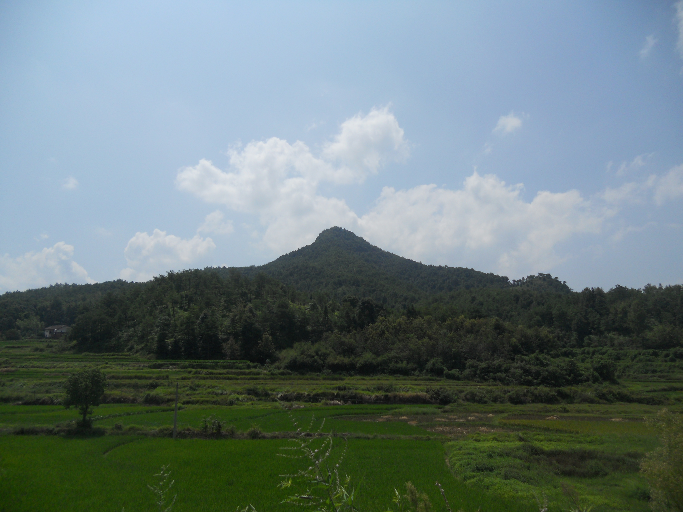 麂山 麂山