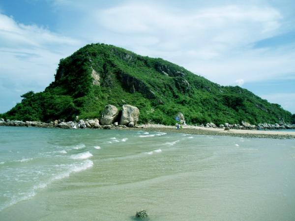大亚湾石化集团 大亚湾石化集团