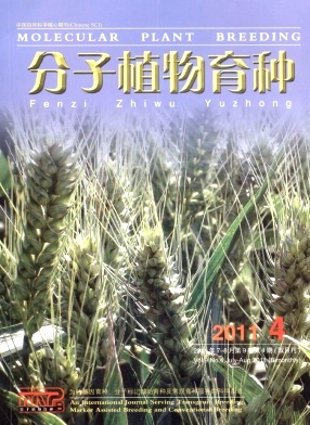 分子植物育种 分子植物育种