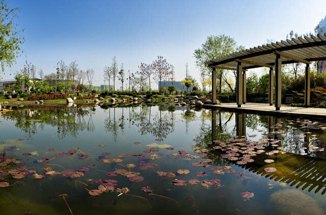 郑东新区湿地公园 郑东新区湿地公园