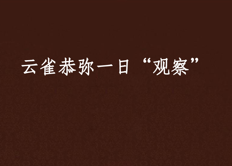 云雀恭弥一日“观察”