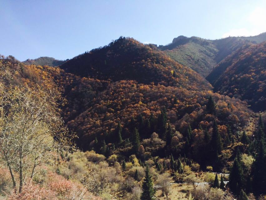 吐鲁沟森林公园
