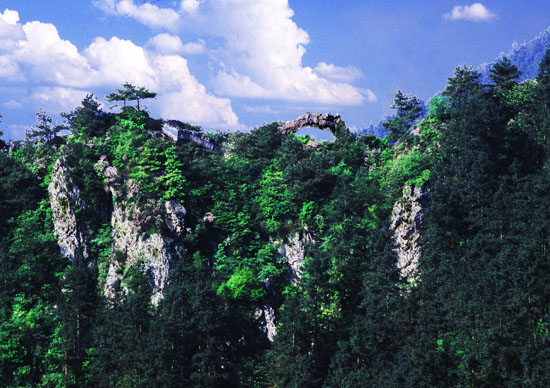 仙桥横汉 仙桥横汉