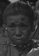 缅甸的竖琴