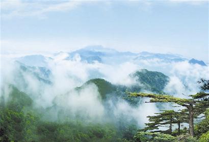 风景 风景