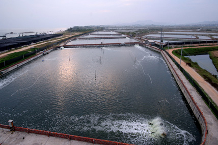 城区(广东省汕尾市下辖区) 城区(广东省汕尾市下辖区)