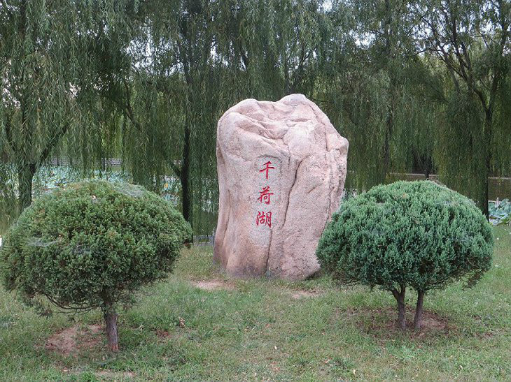 千荷湖 千荷湖