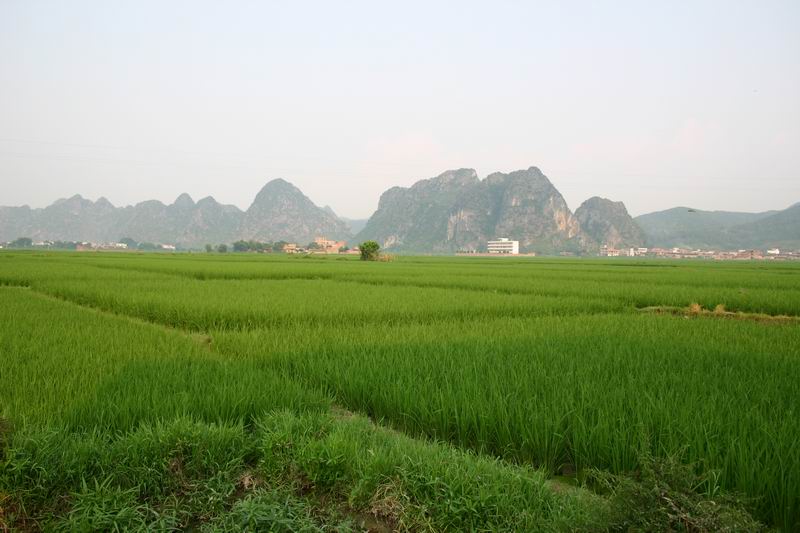 锦屏镇 锦屏镇