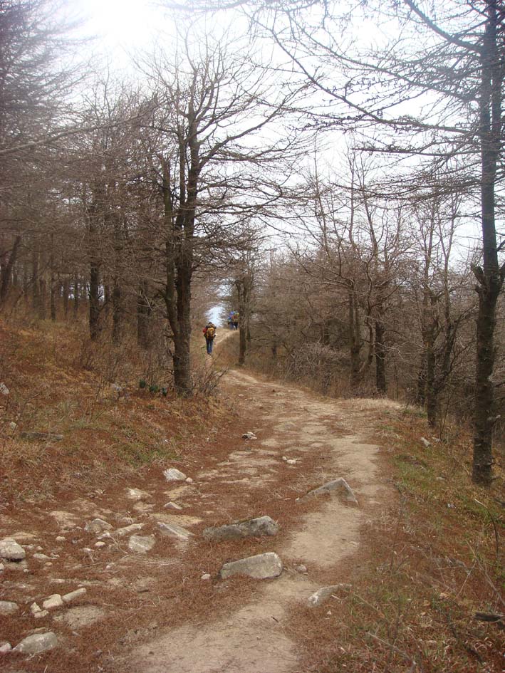 漫漫云山路 漫漫云山路