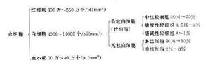 血液病学 血液病学