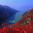 长江三峡(瞿塘峡,巫峡和西陵峡三段峡谷的总称) 长江三峡(瞿塘峡,巫峡和西陵峡三段峡谷的总称)