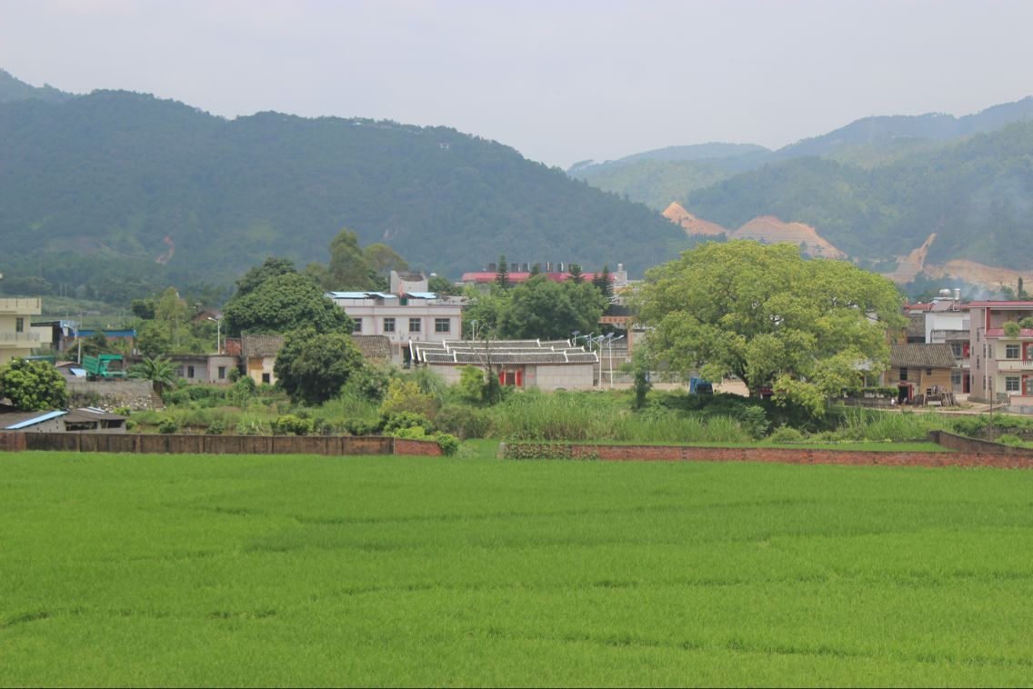 磜下村(河源市地名) 磜下村(河源市地名)