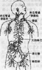 血液系统疾病 血液系统疾病