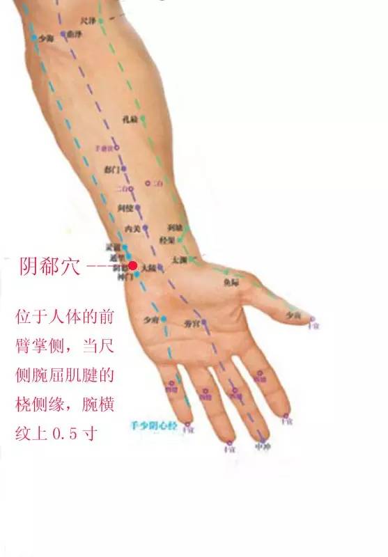阴郄穴 阴郄穴