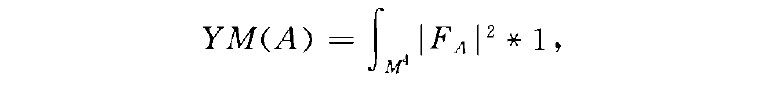 杨一米尔斯作用量