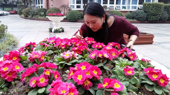 “三八”妇女节——最美教师 “三八”妇女节——最美教师