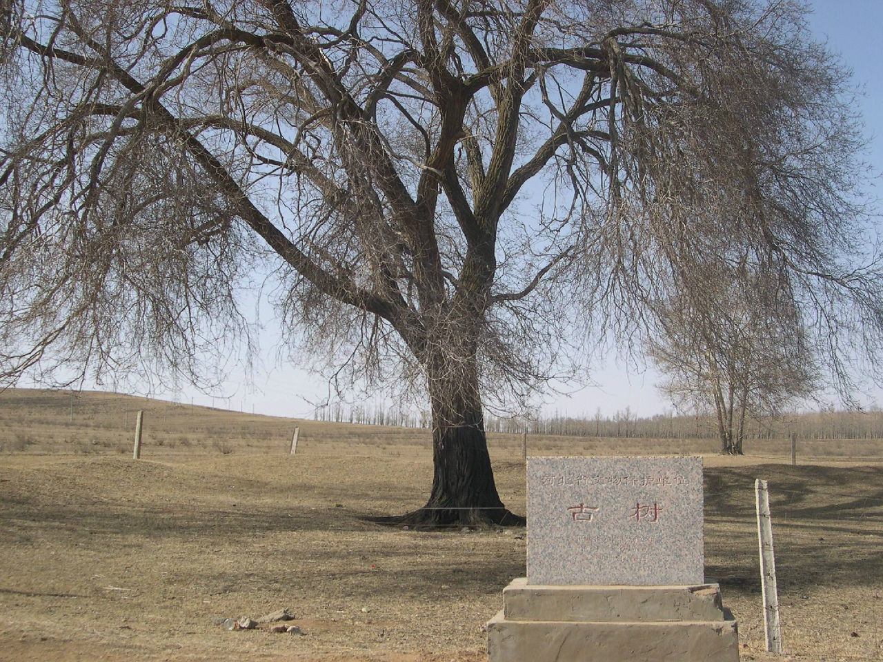 闫油坊乡 闫油坊乡