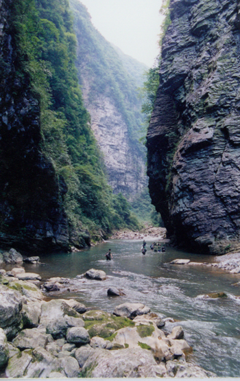 毛滩河 毛滩河