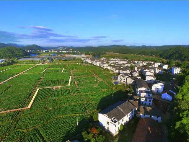 三合村(云南文山州砚山县盘龙乡下辖村) 三合村(云南文山州砚山县盘龙乡下辖村)