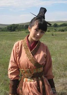 大秦直道(2011年萧锋执导电视剧)