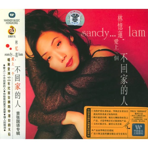 爱上一个不回家的人(林忆莲1990年专辑) 爱上一个不回家的人(林忆莲1990年专辑)