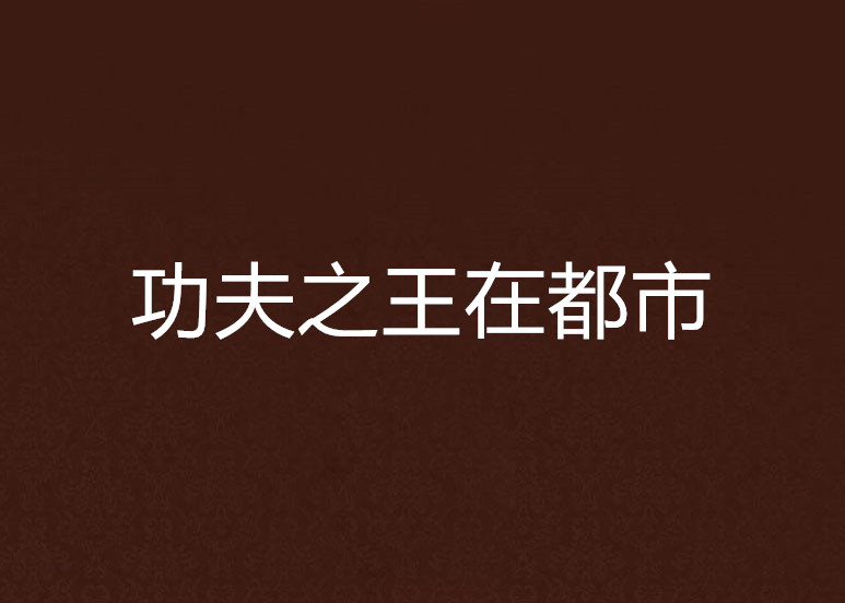 功夫之王在都市 功夫之王在都市